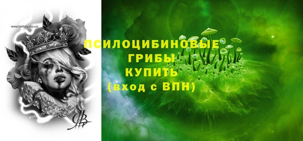 соль ск Алзамай