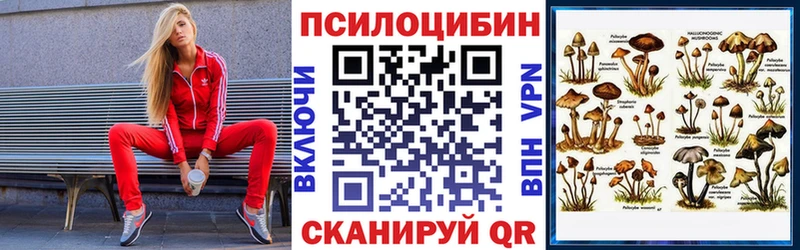 Псилоцибиновые грибы Psilocybe  Сунжа 